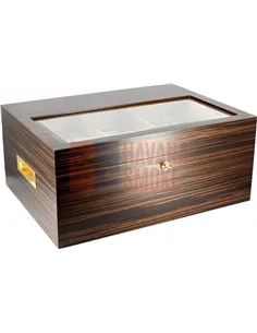 Adorini Vittoria - Deluxe