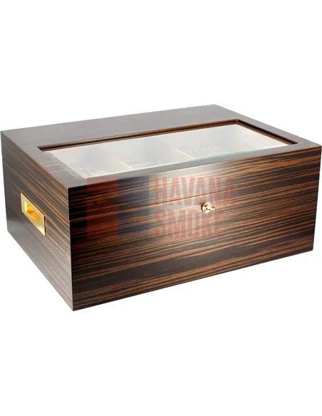 Adorini Vittoria - Deluxe