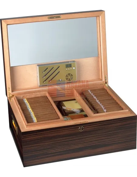 Adorini Vittoria - Deluxe