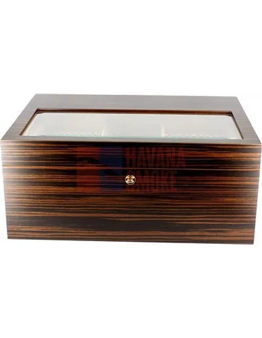 Adorini Vittoria - Deluxe