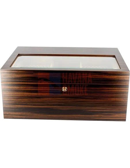 Adorini Vittoria - Deluxe