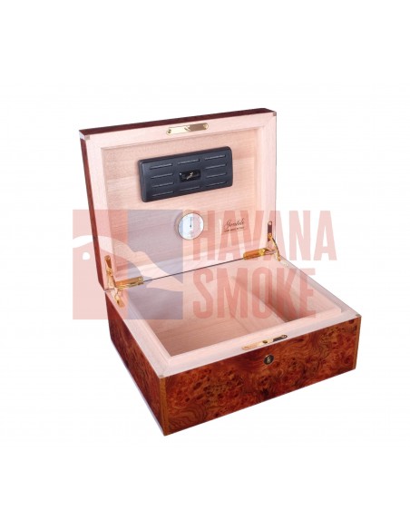 Хьюмидор Gentili SVH50-Olmo - купить в интернет-магазине Havana Smoke