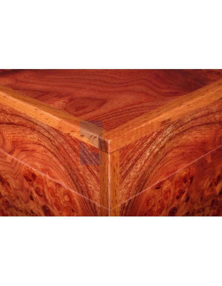 Хьюмидор Gentili SVH50-Olmo - купить в интернет-магазине Havana Smoke