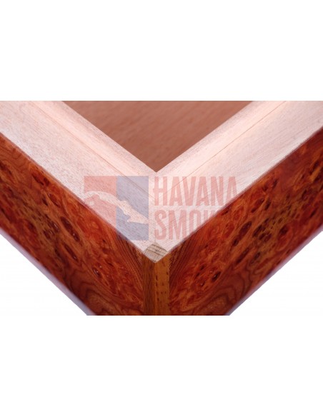 Хьюмидор Gentili SVH50-Olmo - купить в интернет-магазине Havana Smoke