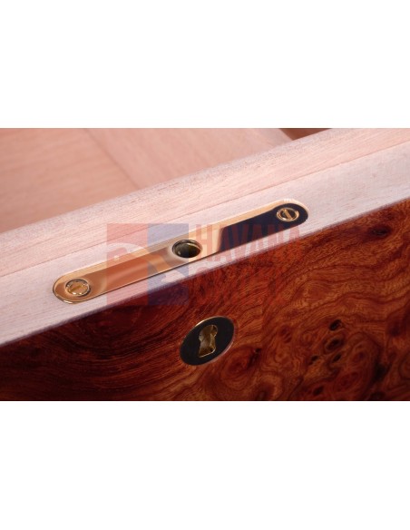 Хьюмидор Gentili SVH50-Olmo - купить в интернет-магазине Havana Smoke