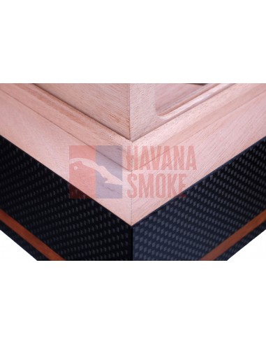 Хьюмидор-шкаф Gentili Formula на 40 сигар - купить в интернет-магазине Havana Smoke