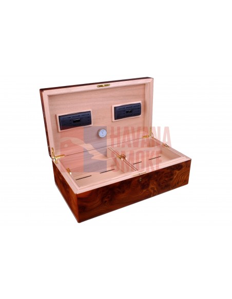 Хьюмидор Gentili Natura Morta на 200 сигар (инкрустация) - купить в интернет-магазине Havana Smoke