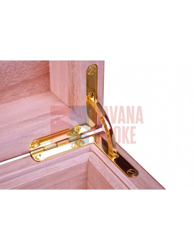 Хьюмидор Gentili Natura Morta на 200 сигар (инкрустация) - купить в интернет-магазине Havana Smoke