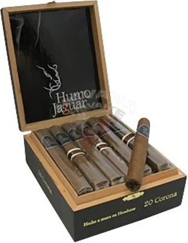 Humo Jaguar Corona
