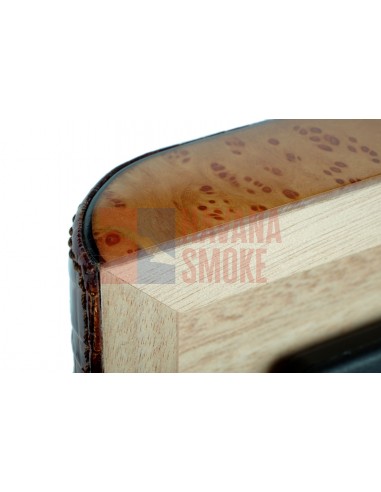 Хьюмидор Gentili SV20-Croco-Light - купить в интернет-магазине Havana Smoke