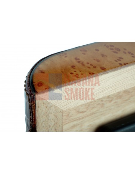 Хьюмидор Gentili SV20-Croco-Light - купить в интернет-магазине Havana Smoke