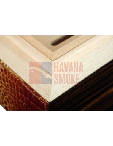 Хьюмидор Gentili SV75-Croco-Light - купить в интернет-магазине Havana Smoke