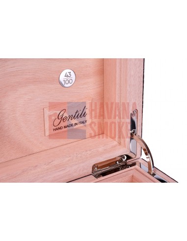 Хьюмидор Gentili Croco Dark на 75 сигар Limited Edition - купить в интернет-магазине Havana Smoke