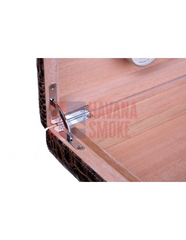 Хьюмидор Gentili SV10-Croco-Brown - купить в интернет-магазине Havana Smoke