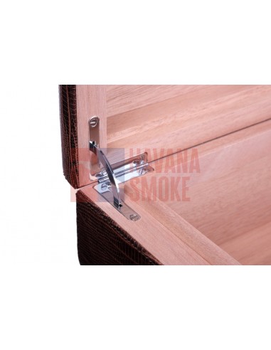 Хьюмидор Gentili SV40-LE-Iguana-Brown - купить в интернет-магазине Havana Smoke