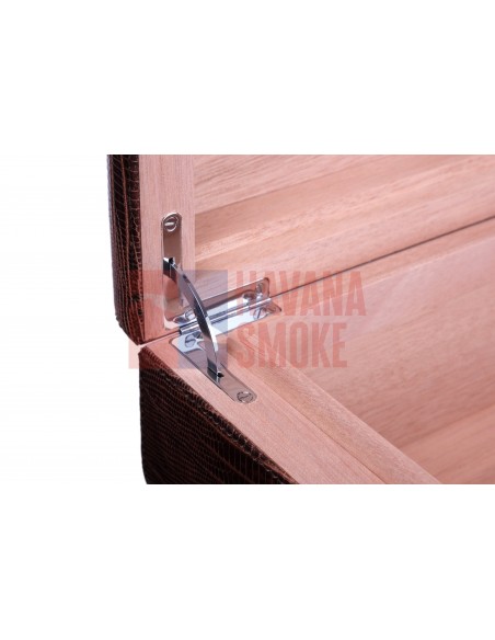 Хьюмидор Gentili SV40-LE-Iguana-Brown - купить в интернет-магазине Havana Smoke