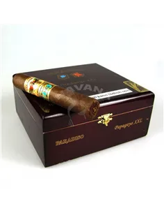 Сигара Paradiso Papagayo XXL