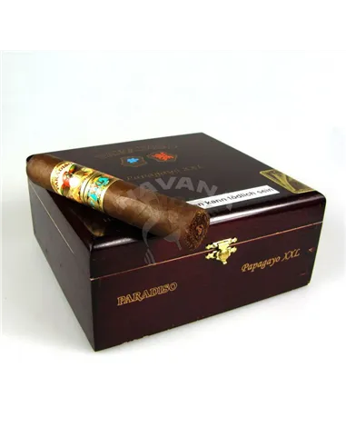 Сигара Paradiso Papagayo XXL