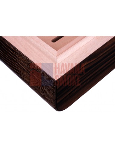 Хьюмидор Gentili SV75-Iguana-Brown - купить в интернет-магазине Havana Smoke