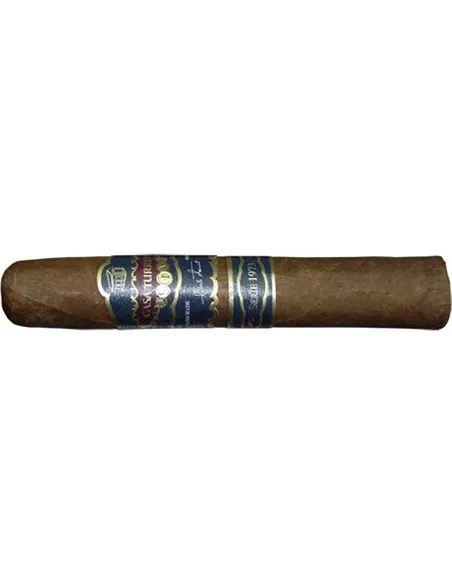 Casa Turrent Serie 1973 Double Robusto