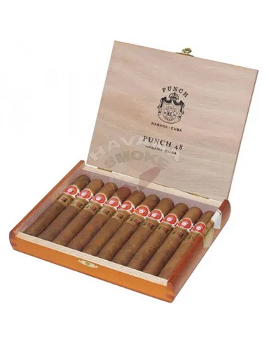 Punch 48