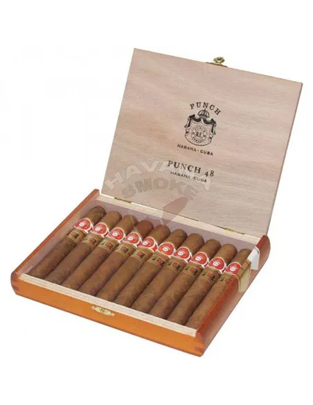 Punch 48