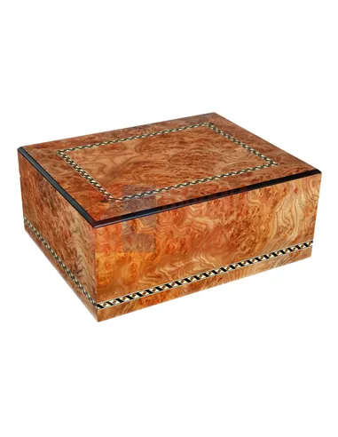 Хьюмидор Gentili SV50-Elm-Matt