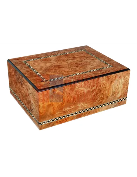 Хьюмидор Gentili SV50-Elm-Matt