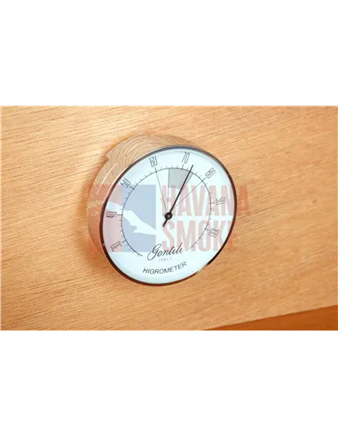 Хьюмидор Gentili SV50-Elm-Matt