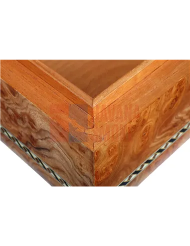 Хьюмидор Gentili SV50-Elm-Matt