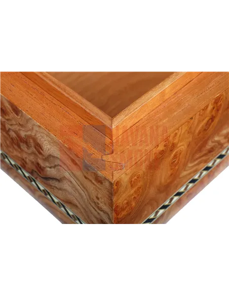 Хьюмидор Gentili SV50-Elm-Matt