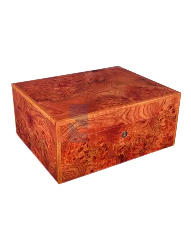 Хьюмидор Gentili SVH50-Olmo