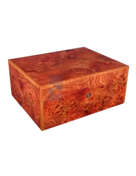 Хьюмидор Gentili SVH50-Olmo