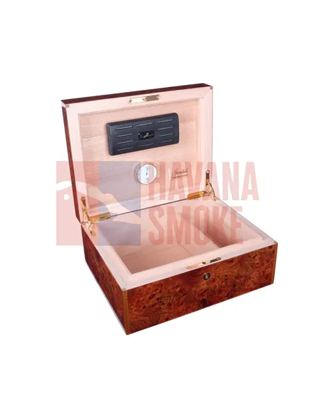 Хьюмидор Gentili SVH50-Olmo