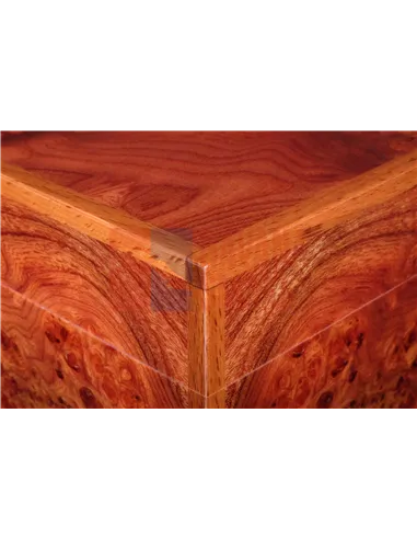 Хьюмидор Gentili SVH50-Olmo