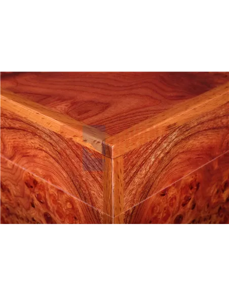 Хьюмидор Gentili SVH50-Olmo