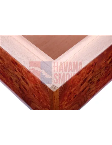 Хьюмидор Gentili SVH50-Olmo