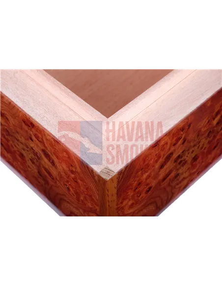 Хьюмидор Gentili SVH50-Olmo