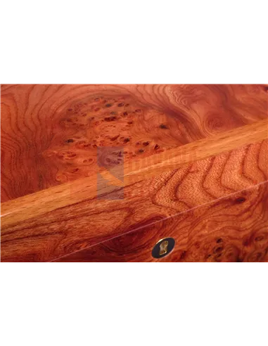 Хьюмидор Gentili SVH50-Olmo