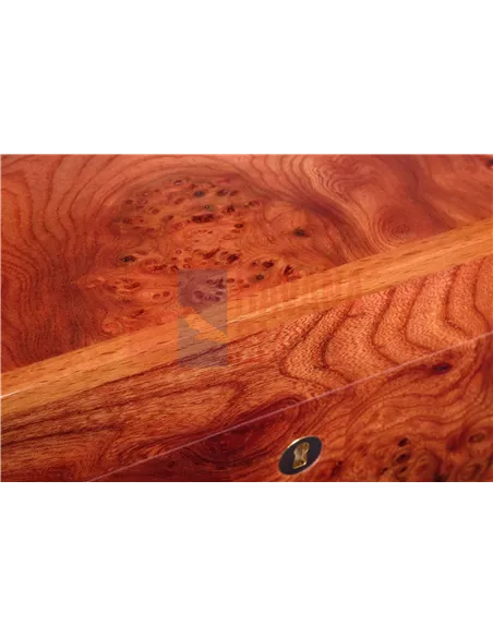 Хьюмидор Gentili SVH50-Olmo