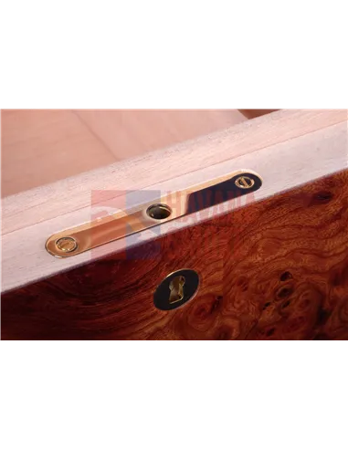 Хьюмидор Gentili SVH50-Olmo