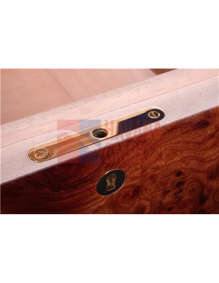 Хьюмидор Gentili SVH50-Olmo