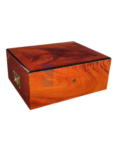 Хьюмидор Gentili 545