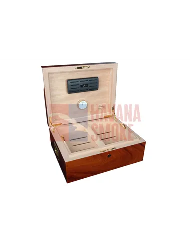 Хьюмидор Gentili 545