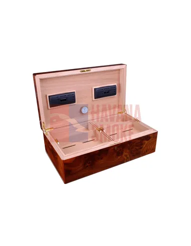 Хьюмидор Gentili Natura Morta на 200 сигар (инкрустация)