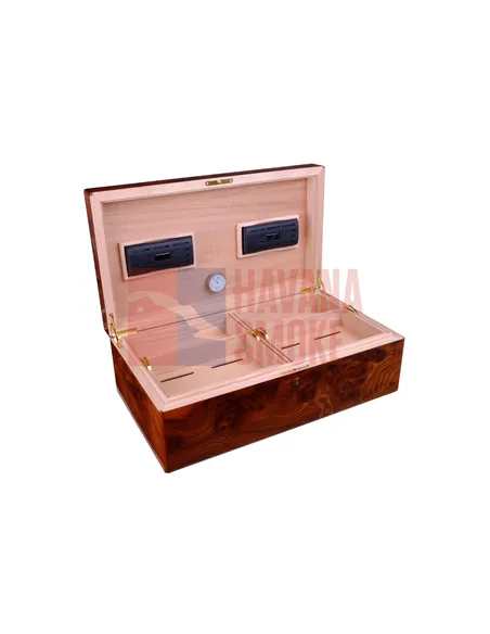 Хьюмидор Gentili Natura Morta на 200 сигар (инкрустация)