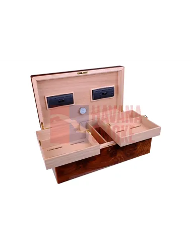 Хьюмидор Gentili Natura Morta на 200 сигар (инкрустация)