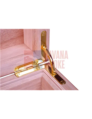 Хьюмидор Gentili Natura Morta на 200 сигар (инкрустация)