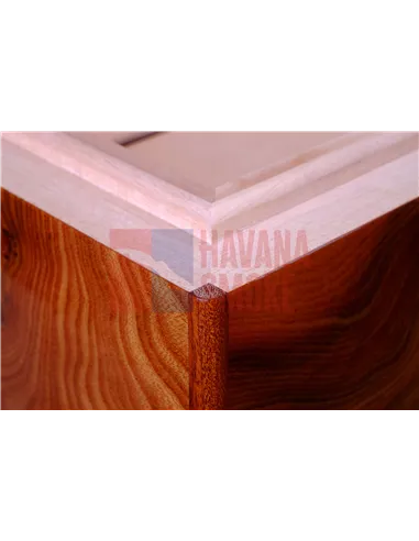 Хьюмидор Gentili Natura Morta на 200 сигар (инкрустация)