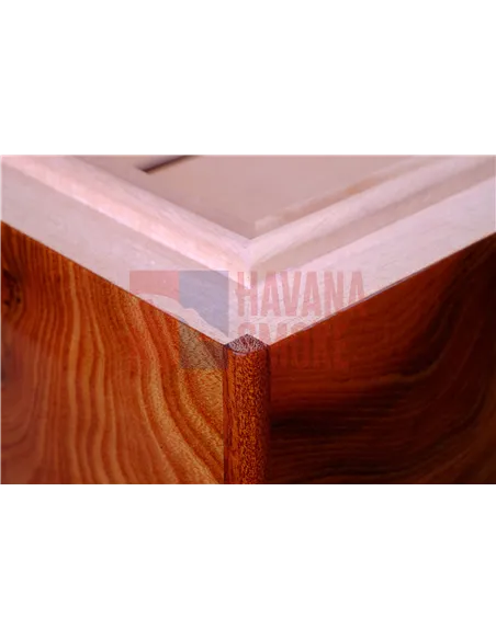 Хьюмидор Gentili Natura Morta на 200 сигар (инкрустация)